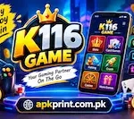 K116 Game