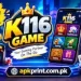 K116 Game